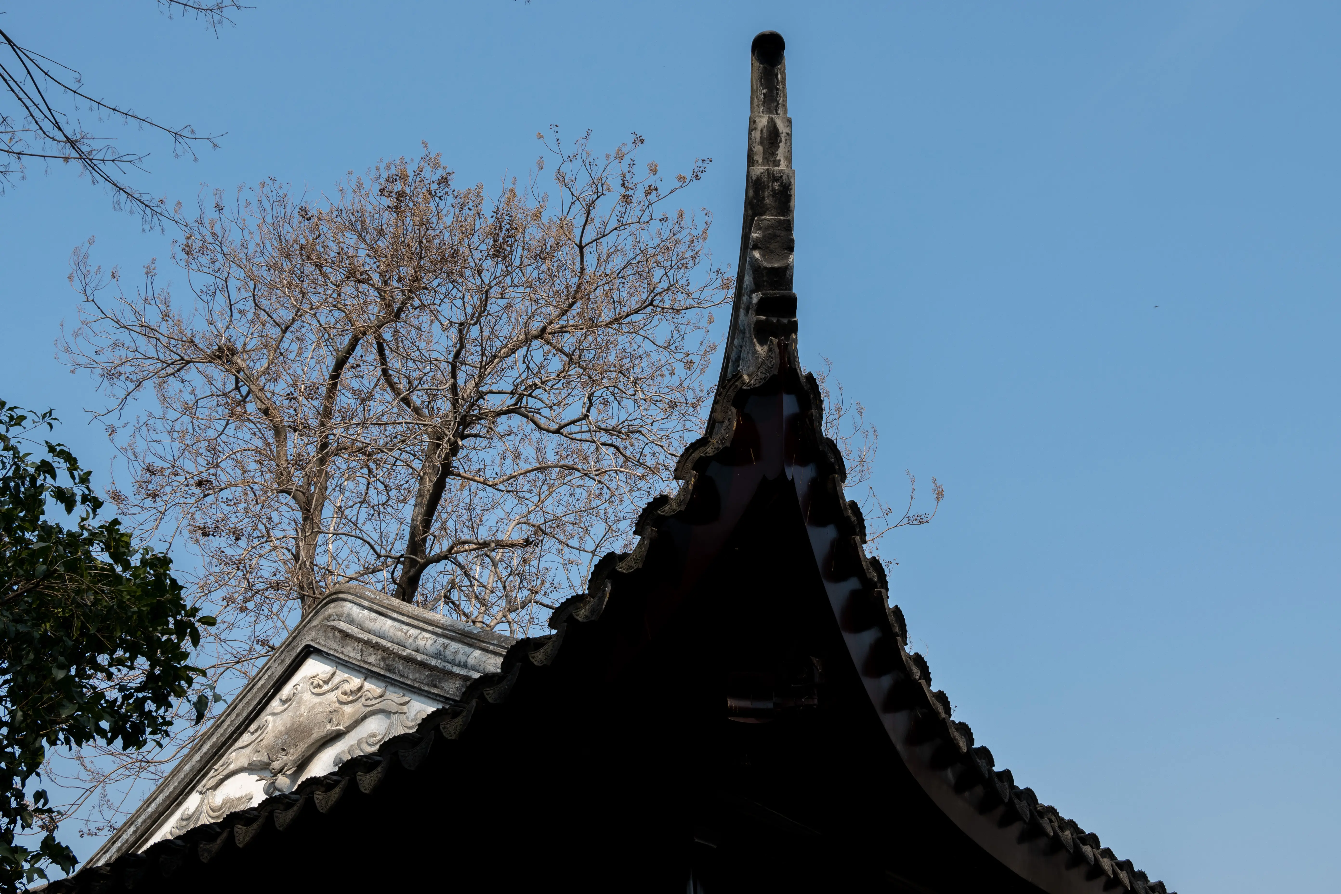 遮蔽天空的屋檐